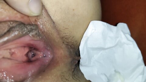（New） 6