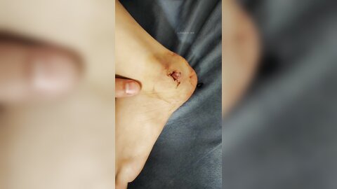 Homemade 1050