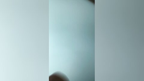 Asian Slut Lets Her Step Brother Finger Her Till She Squirts On Family