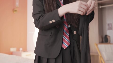 Model 1069