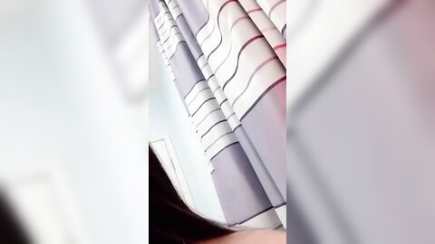 Webcam 1081