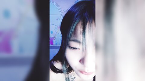 Webcam 1084