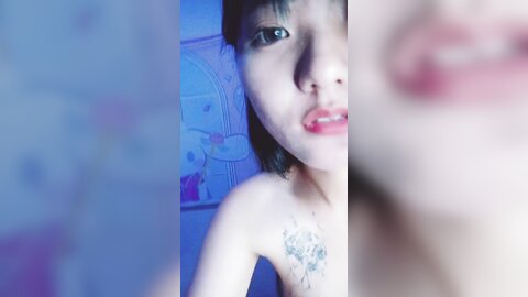 Webcam 1084