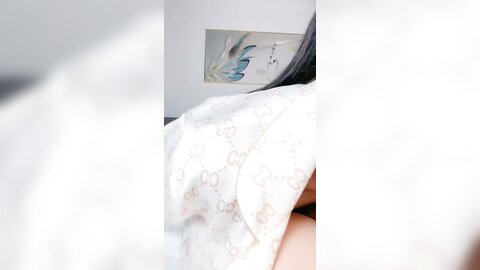 Webcam 1085