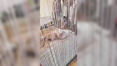 2017-11-04 21 31 45 1 zbvm8coU-50J1 oa