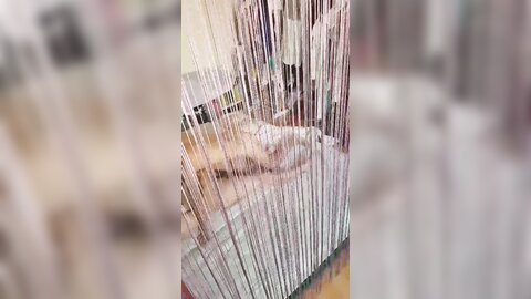2017-11-04 21 31 45 1 zbvm8coU-50J1 oa