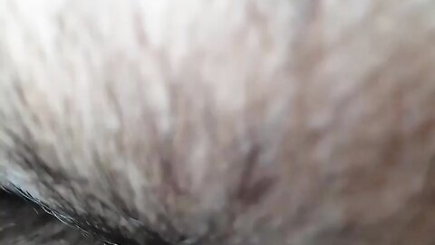 2017-11-25 19 24 47 1 ntxCW5Iiug0H5SAt