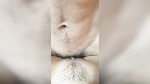 2017-12-10 01 59 54 1 2KRQg8C4 Y2J14uH