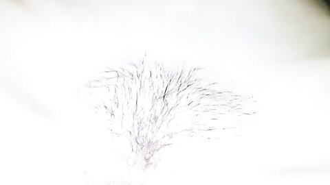 2017-12-26 08 58 27 1 CH-XeuAfuKGZBBk3
