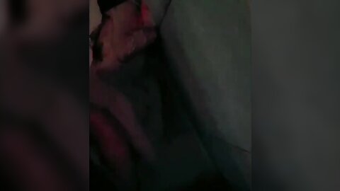 2017-12-27 23 20 56 1 IigU0-7hWkoqTINk