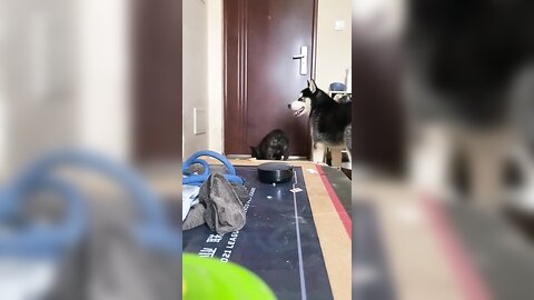 배달노출