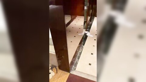 VID 20211019 171514 162