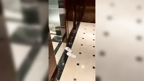 VID 20211019 171514 162
