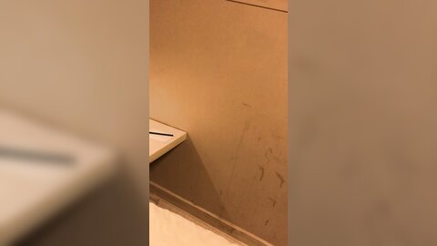 VID 20211019 171739 499