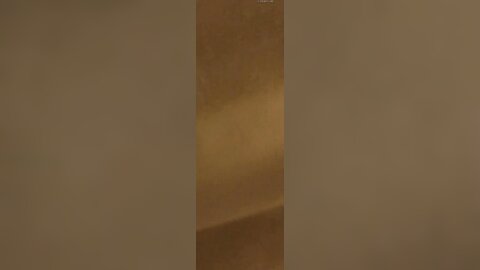 VID 20211019 171744 247