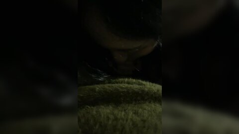 1 5030874534459212416