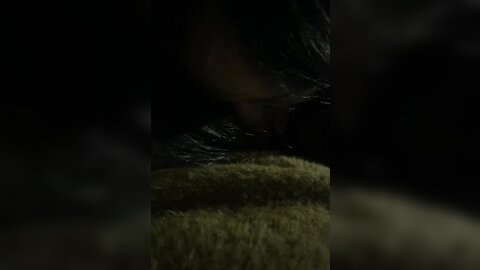 1 5030874534459212416