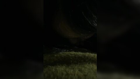 1 5030874534459212416