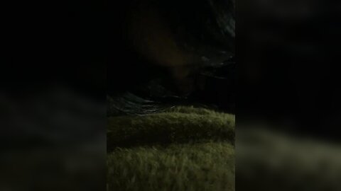 1 5030874534459212416