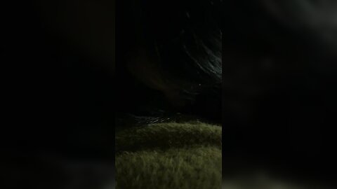 1 5030874534459212416