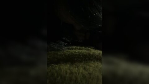 1 5030874534459212416
