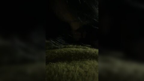 1 5030874534459212416
