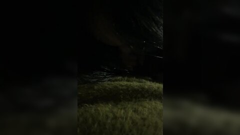 1 5030874534459212416