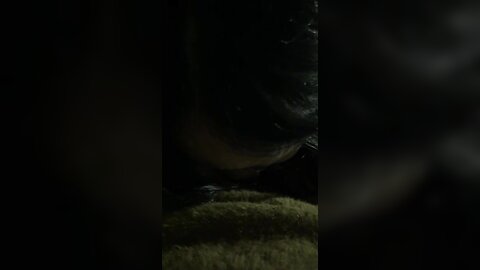 1 5030874534459212416