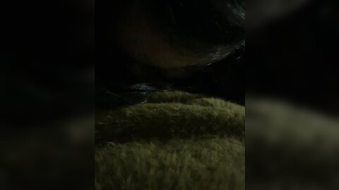1 5030874534459212416