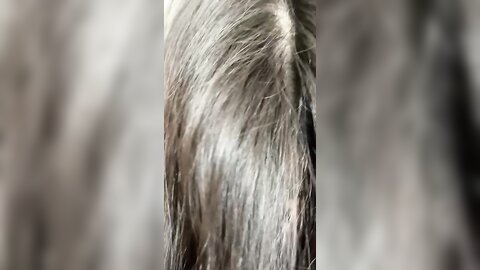 1 5030874534459212439