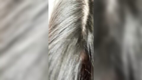 1 5030874534459212439