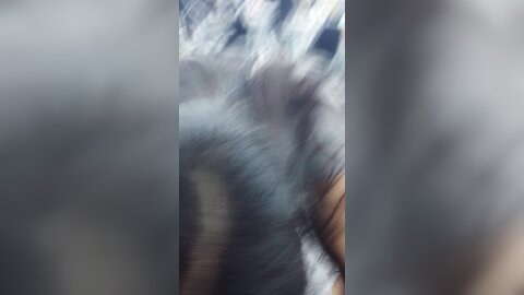 20150530 201540