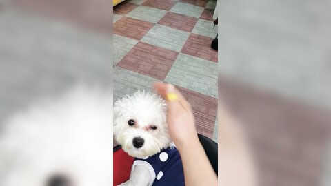 20150731 151058
