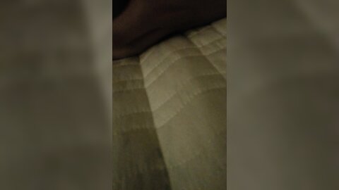 20161022 025455