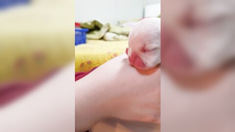 20170501 220220