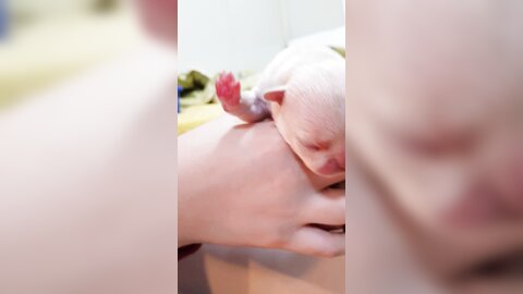 20170501 220220