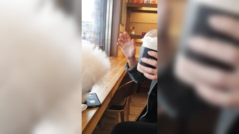 20180218 141053
