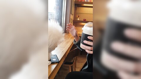 20180218 141053