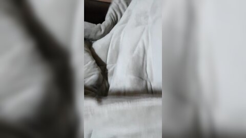 20180413 031550