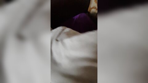 20180413 031550