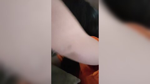 20180413 031550
