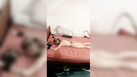 Onlyfans Proudlyownedslave  Proudlyownedpet 04 11 2021