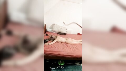 Onlyfans Proudlyownedslave  Proudlyownedpet 04 11 2021