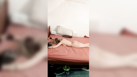 Onlyfans Proudlyownedslave  Proudlyownedpet 04 11 2021