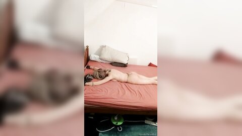 Onlyfans Proudlyownedslave  Proudlyownedpet 04 11 2021