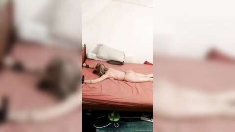 Onlyfans Proudlyownedslave  Proudlyownedpet 04 11 2021