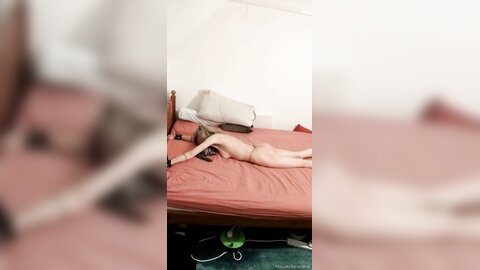 Onlyfans Proudlyownedslave  Proudlyownedpet 04 11 2021