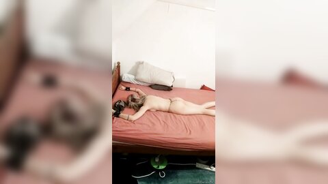 Onlyfans Proudlyownedslave  Proudlyownedpet 04 11 2021