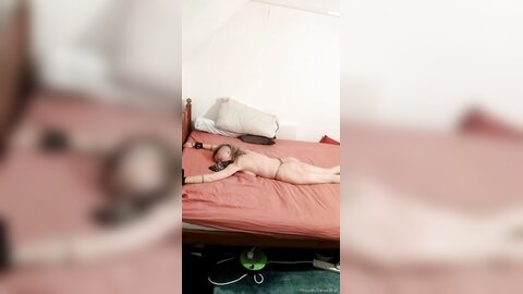 Onlyfans Proudlyownedslave  Proudlyownedpet 04 11 2021