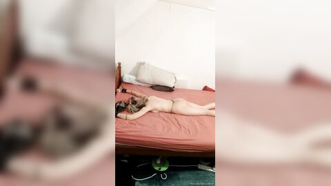 Onlyfans Proudlyownedslave  Proudlyownedpet 04 11 2021